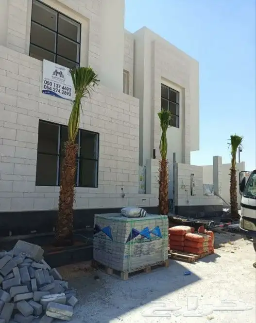 نخل واشنطني زينه 1