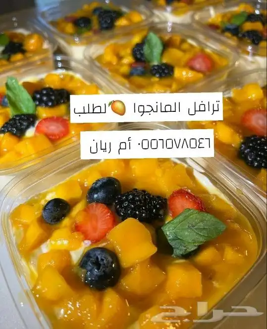 ترافل المانجوا 0