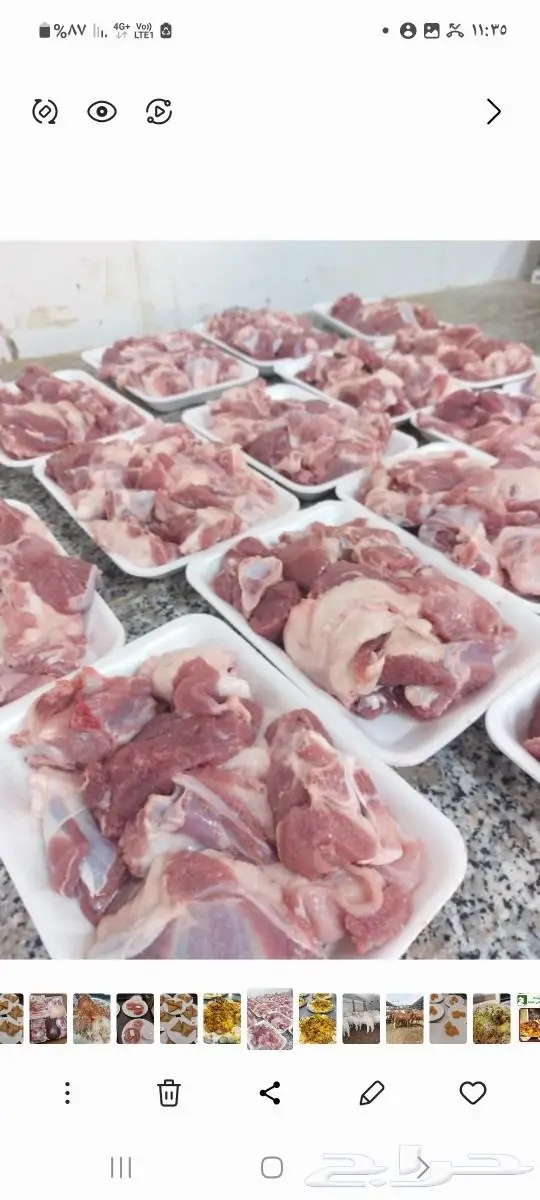 طبخ وذبايح ثلاجة ويتوفر شحم بطن و كبدة و شحم الليه 4