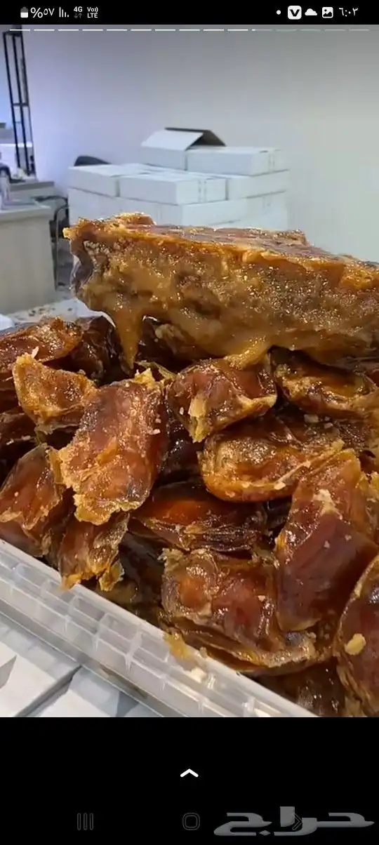 تمور حائل الفاخره 2