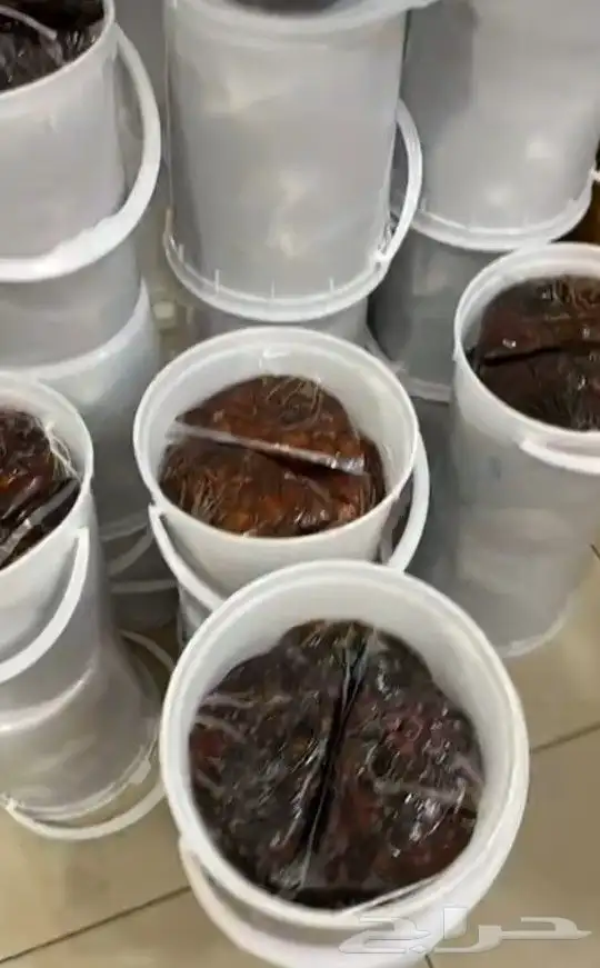 تمور حائل الفاخره 0