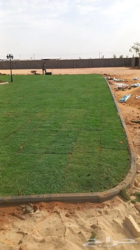 ثيل طبيعي سي 2000 فرنسي 0