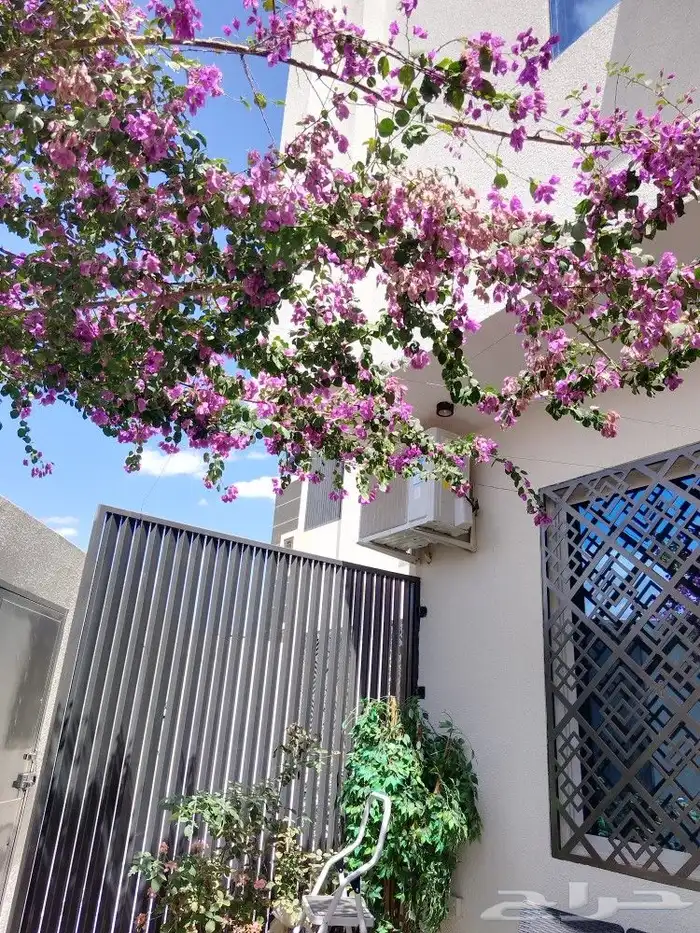 تنسيق حدائق وشبكات ري 1