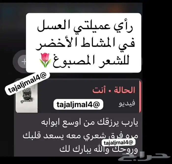 آراء عملائنا 3