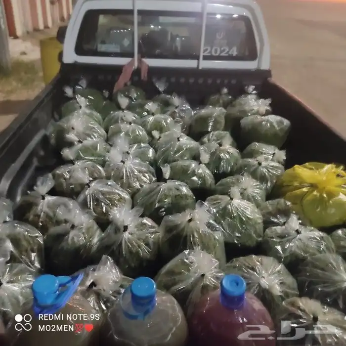 علف الازولا كميات مفتوحه توصيل لجميع مناطق المملكه 0