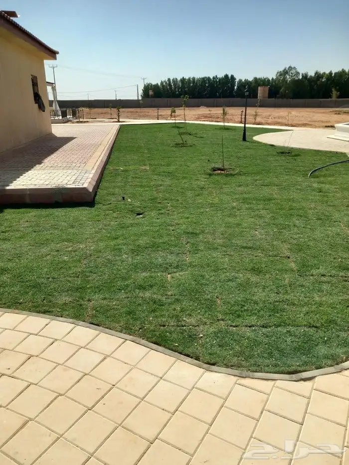 ثيل طبيعي سي 2000 فرنسي 4
