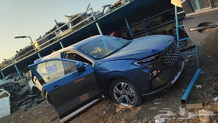 فورد تريتوري 2023-2024 0