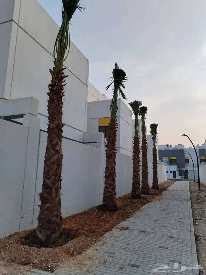 انخل واشنطن زينه الي جميع مناطق المملكه الاستفسارات 9