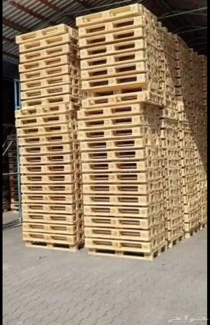 طبليات اوروبي 4