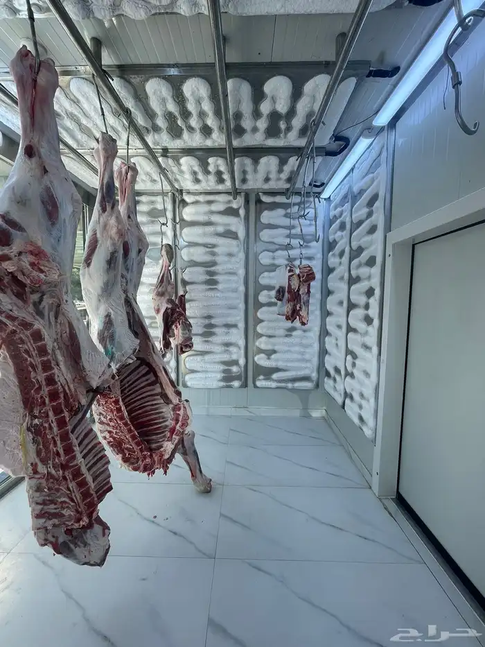 مصنع ستانلس ستيل متكامل للمطاعم (ثلاجات مطابخ غرف تبريد) 54