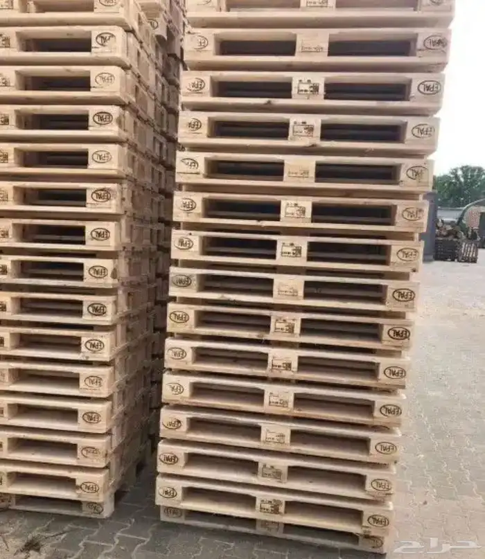 طبليات اوروبي 3