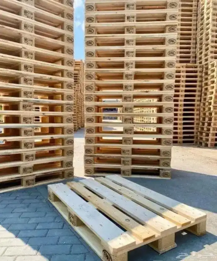 طبليات اوروبي 2