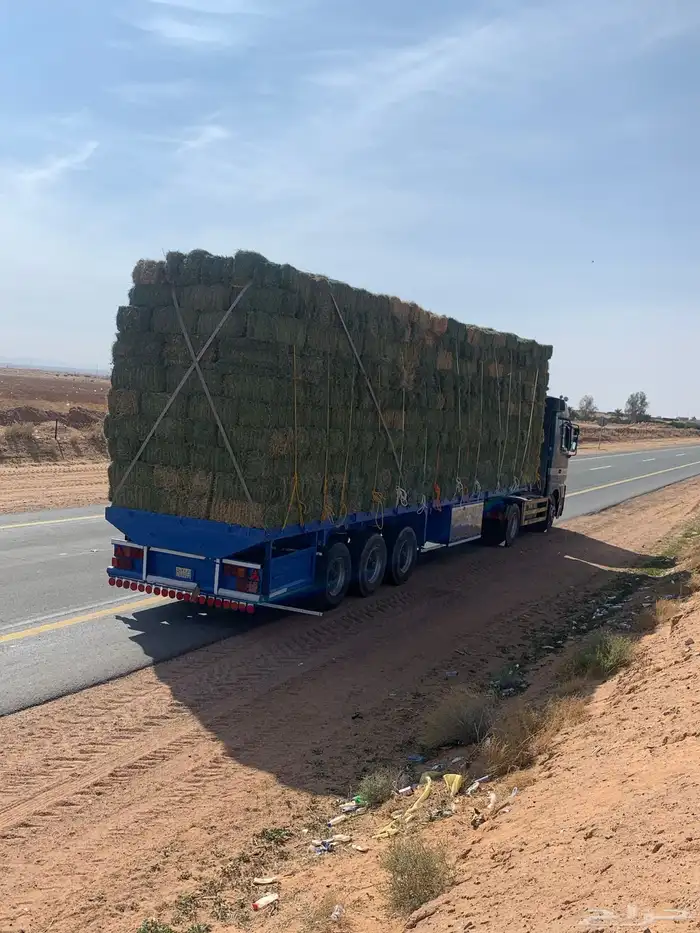 تريله  النقل  البرسيم ولأعلاف 0