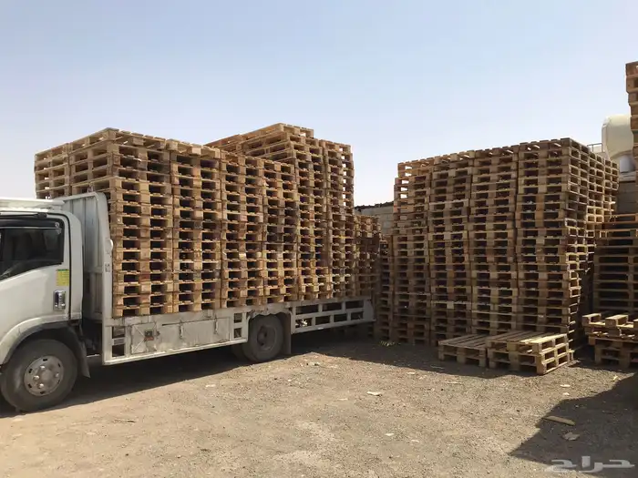 طبليات اوروبي 10