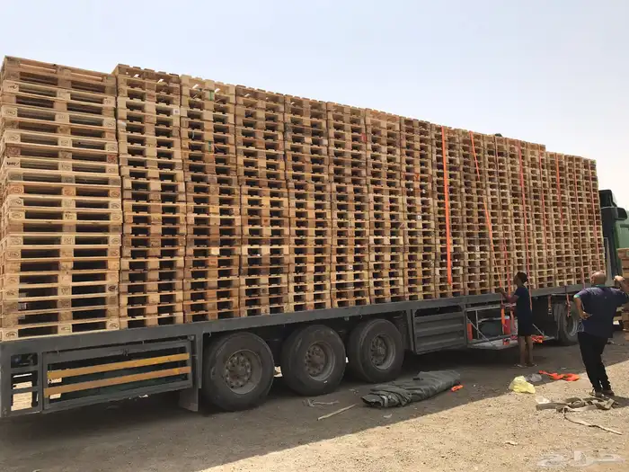 طبليات اوروبي 7