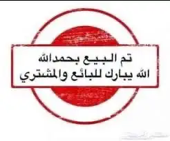 جذع فحل صنف غنم نعيم 9