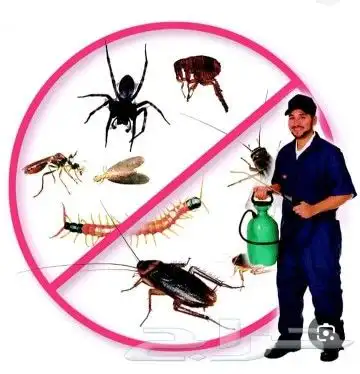 شركة مكافحة جميع انواع الحشرات والنمل الأبيض 2