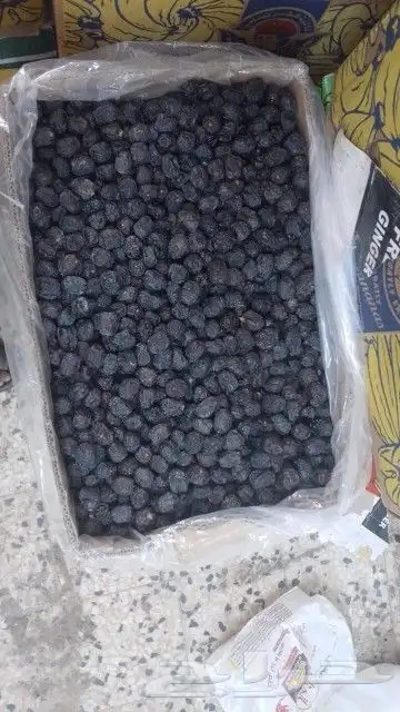 عجوة حبة طيبة ولين ب 10 ريال 2