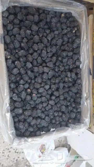 عجوة حبة طيبة ولين ب 10 ريال 0