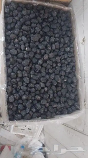 عجوة حبة طيبة ولين ب 10 ريال 1