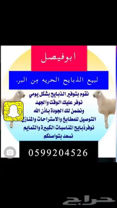 ذبايح حريه من البر مع الذبح والتوصيل مجاني 12