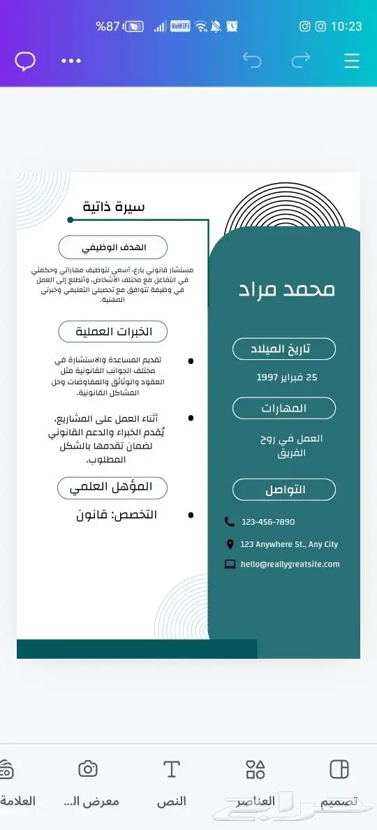 تصميم سيرة ذاتية 0