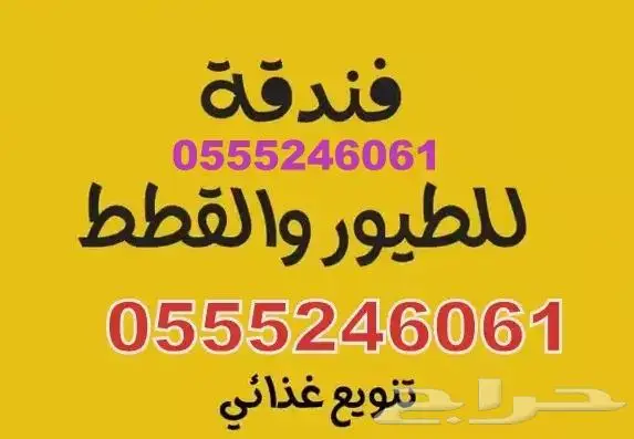 فندقة قطط وطيور وقت سفرك 1678 238 057 شاهد التقييمات 2