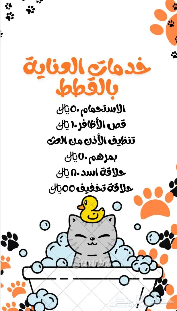 فندقة قطط الاحساء للتواصل بالخاص 0