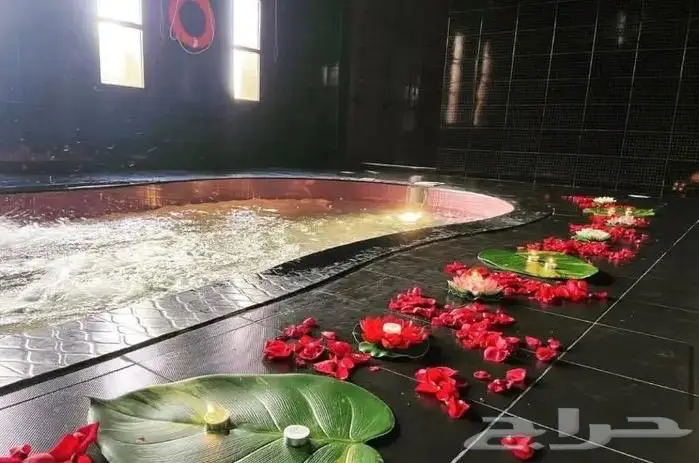 ش ا ل ي ه ا ت شاليهات 13