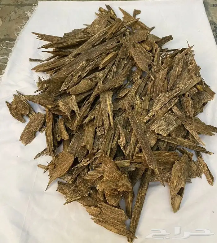 عود مروكي اصقون و هندي و سومطري وكلمنتان اسعار تنفاسيه جمله 3