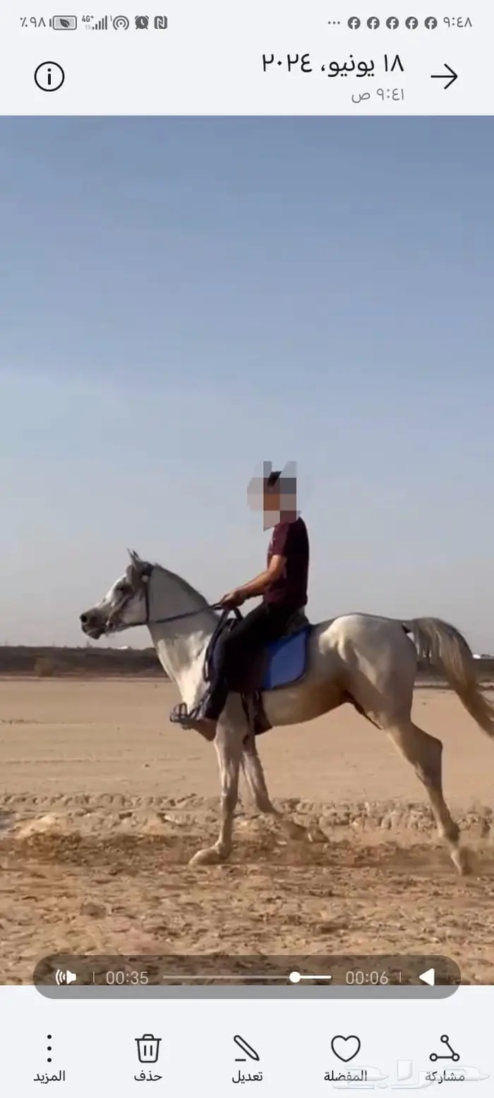 حصان شعبي من فواخر الشعبيات 1