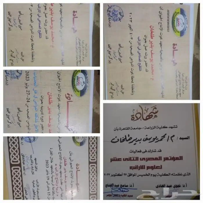 يبحث عن عمل اشراف عام مزارع دواجن سمان ارانب تركيبات اعلاف 0