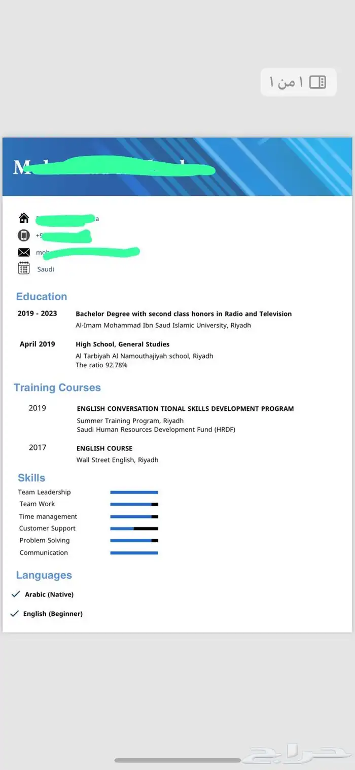 سيرة ذاتية احترافية 12