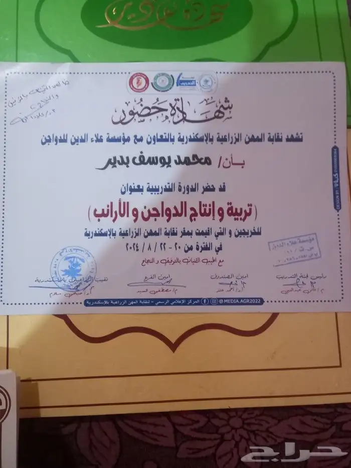 يبحث عن عمل اشراف عام مزارع دواجن سمان ارانب تركيبات اعلاف 1