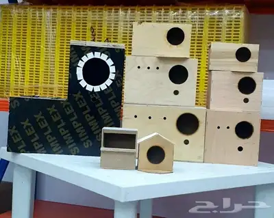 بياضات ببغاء ودرة كروان روز بادجي زيبرا 0