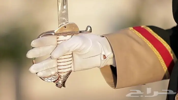 مصمم فيديوهات احترافي - مصمم شيلات 0