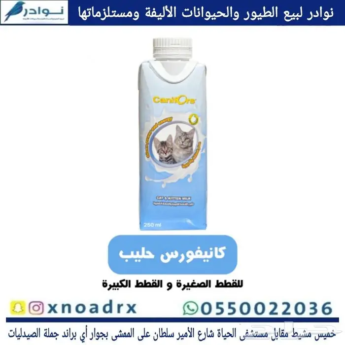 طيور سمك سلاحف ارانب هامستر قطط محل نوادر 48