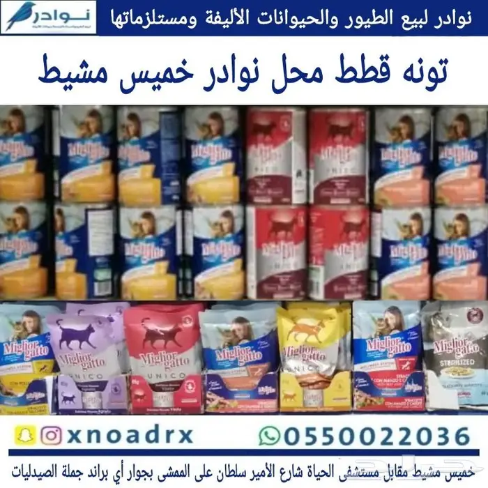 طيور سمك سلاحف ارانب هامستر قطط محل نوادر 57