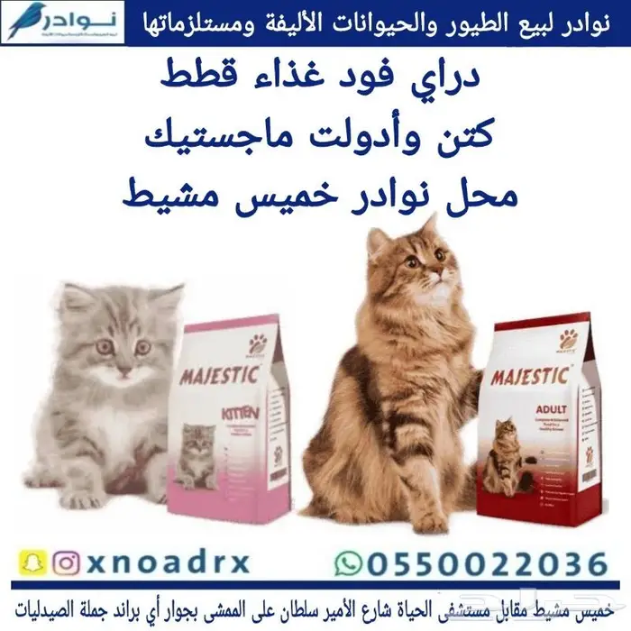 طيور سمك سلاحف ارانب هامستر قطط محل نوادر 58
