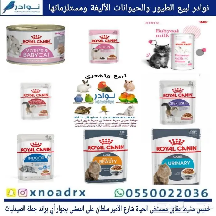 طيور سمك سلاحف ارانب هامستر قطط محل نوادر 51