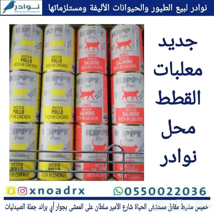 باتيه فصفص اسود صغير حب كناري ساده 88