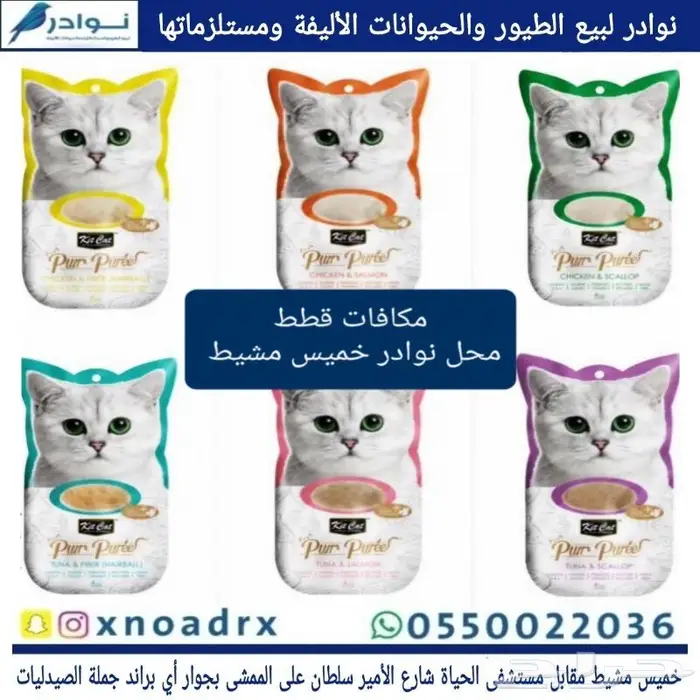 جديد اكل قطط ابلاوز ورمل قطط 32