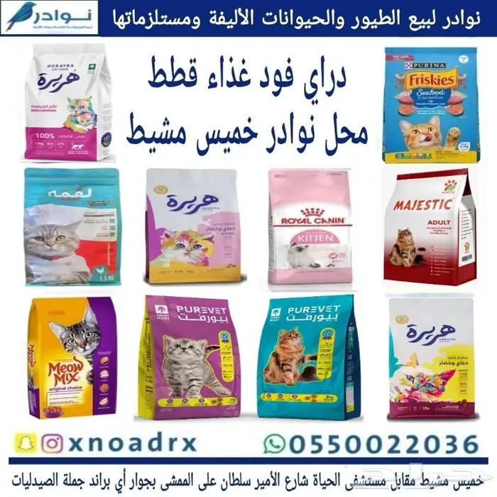 داري فود قطط وحيوانات اليفه 28