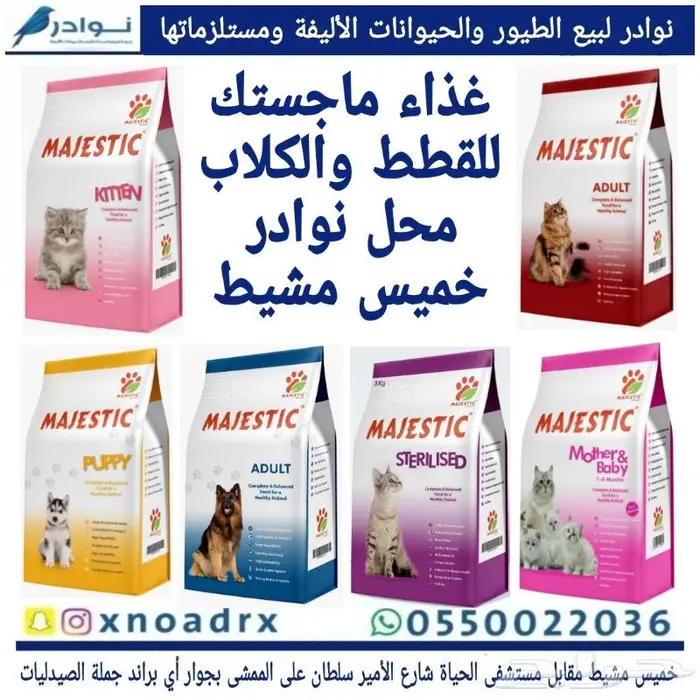داري فود قطط وحيوانات اليفه 33