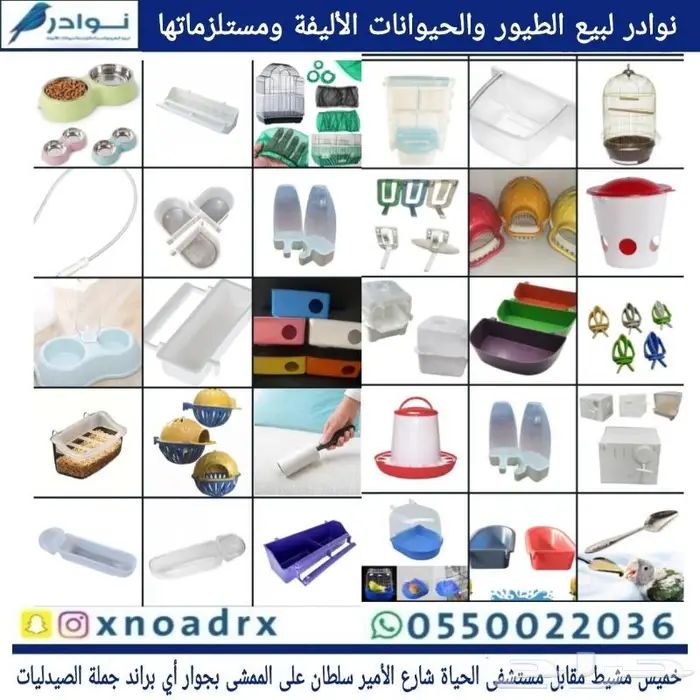 طيور الحب بادجي وزيبرا 38