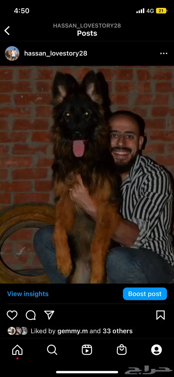 مدرب كلاب 7