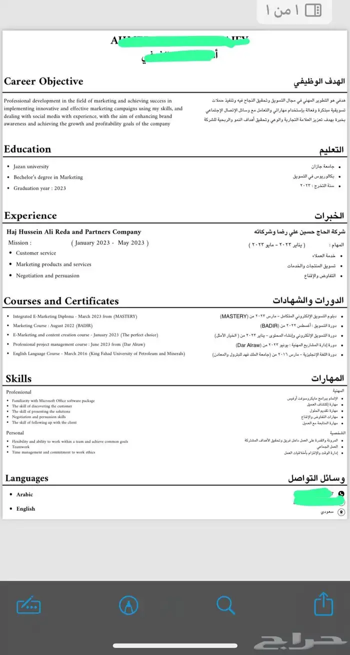 سيرة ذاتية احترافية 4