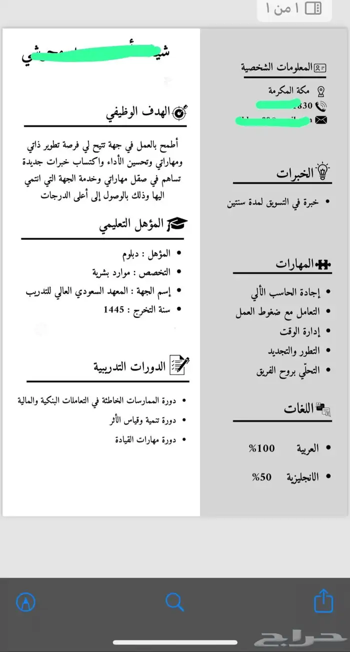سيرة ذاتية احترافية 25