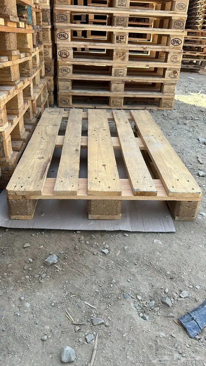 طبليات اوروبي 1