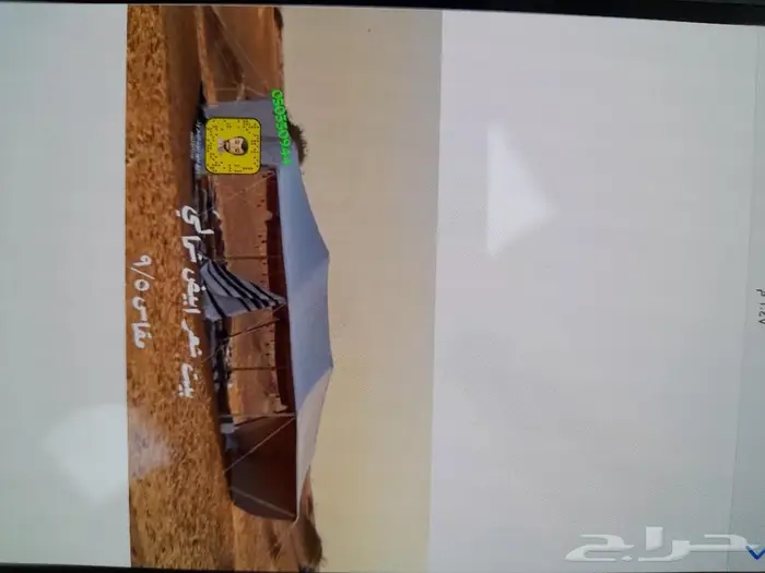 بيوت شعر ابيض خيام بيت شعر 1